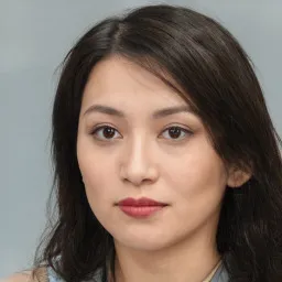 Lý Văn Hùng avatar